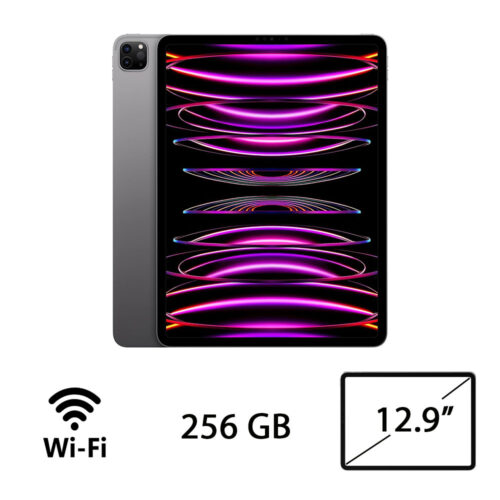 IPAD PRO 12.9 (6ªGEN) 2022 WI-FI 256GB SPACE GRAY/2Y